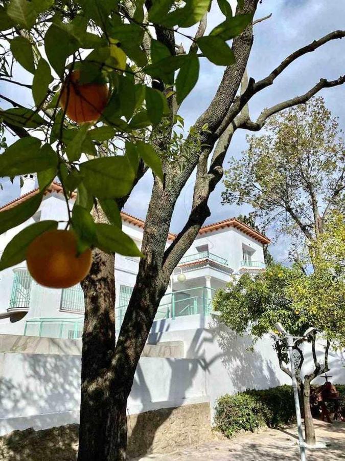 Nuevo Los Almendros 204 Complejo Turistico Cordoba Exterior photo